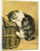 Cat with a Basket by Charles van den Eycken