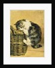 Cat with a Basket by Charles van den Eycken