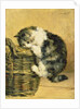 Cat with a Basket by Charles van den Eycken