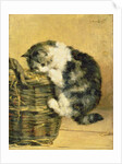 Cat with a Basket by Charles van den Eycken