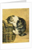 Cat with a Basket by Charles van den Eycken