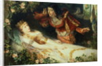Sleeping Beauty, 1881 by Richard Eisermann