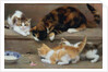 Cat and kittens chasing a mouse by Rosa Jameson