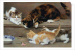 Cat and kittens chasing a mouse by Rosa Jameson