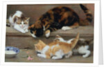 Cat and kittens chasing a mouse by Rosa Jameson