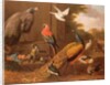 Birds in a landscape by Melchior de Hondecoeter