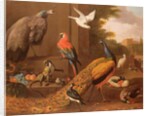 Birds in a landscape by Melchior de Hondecoeter