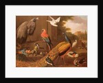 Birds in a landscape by Melchior de Hondecoeter
