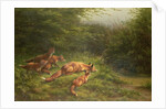 Foxes waiting for the prey by Carl Friedrich Deiker