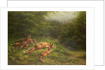 Foxes waiting for the prey by Carl Friedrich Deiker