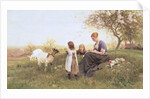 Feeding the Goats, 1870 by Otto Weber