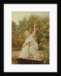 Picking Apples by Frederick Morgan