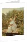 Picking Apples by Frederick Morgan