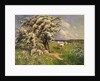 Sheep and cattle in a landscape by Arthur Walker Redgate