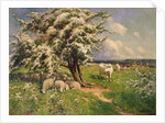 Sheep and cattle in a landscape by Arthur Walker Redgate