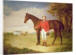 Portrait of a gentleman with his horse, c.1840 by English School