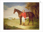 Portrait of a gentleman with his horse, c.1840 by English School