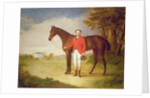 Portrait of a gentleman with his horse, c.1840 by English School
