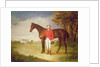 Portrait of a gentleman with his horse, c.1840 by English School