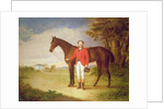 Portrait of a gentleman with his horse, c.1840 by English School