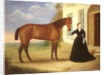 Portrait of a lady with her horse, c.1840 by English School