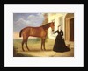 Portrait of a lady with her horse, c.1840 by English School