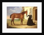 Portrait of a lady with her horse, c.1840 by English School