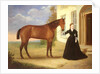 Portrait of a lady with her horse, c.1840 by English School