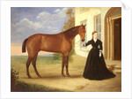 Portrait of a lady with her horse, c.1840 by English School