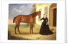 Portrait of a lady with her horse, c.1840 by English School