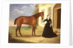 Portrait of a lady with her horse, c.1840 by English School