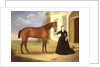 Portrait of a lady with her horse, c.1840 by English School