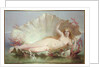 Venus, 1852 by Henry Courtney Selous