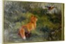 Eluding the Fox, 1912 by Bruno Andreas Liljefors