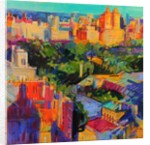 Above Central Park 2019 by Peter Graham