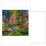 Cedar Hill, Central Park by Peter Graham