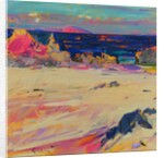 Cathedral Rock, Iona, 2022 by Peter Graham