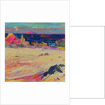 Cathedral Rock, Iona, 2022 by Peter Graham