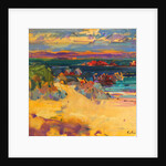 North End, Iona, 2012 by Peter Graham