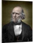 Portrait of Herbert Spencer by English School