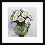 Christmas Roses, 1984 by Gillian Lawson