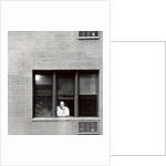 New York Window, 2006 by James Galloway