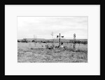 Road Memorial, New Mexico, 2006 by James Galloway