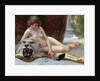 The Jewel Case by Guillaume Seignac