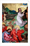 Jesus praying in the gardenof Gethsemane after the Last Supper, while the disciples sleep by Martin Schongauer
