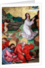 Jesus praying in the gardenof Gethsemane after the Last Supper, while the disciples sleep by Martin Schongauer