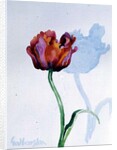 Tulip, 1998 by Izabella Godlewska de Aranda