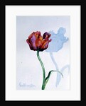 Tulip, 1998 by Izabella Godlewska de Aranda