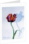 Tulip, 1998 by Izabella Godlewska de Aranda
