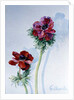 Anemone, 1998 by Izabella Godlewska de Aranda